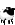 KASHII SHEEP